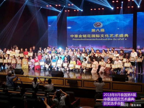 第九屆中國藝術(shù)新星國際文化藝術(shù)節(jié)湖北選區(qū)海選報名登記